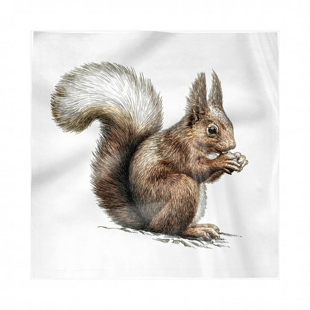 & Everyday Use Home Linen Table Runner Squirrel Eating Nut Retro for Family Dinners Or Gatherings 14 X 72 Inch Indoor Or Outdoor Parties 